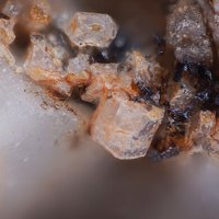 Dalyite