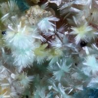 Davidbrownite-(NH4)
