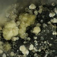 Ecdemite