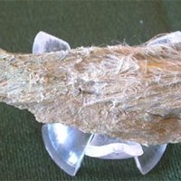 Carlosturanite, Chrysotile