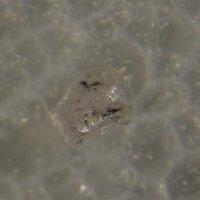 Darapiosite