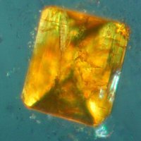 Macedonite
