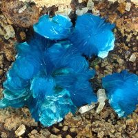 Sampleite