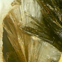 Adamsite-(Y), Aegirine