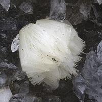 Bavenite