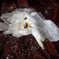 Rauenthalite