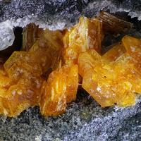 Bazhenovite