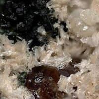 Oyelite