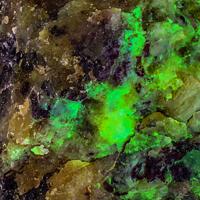 Calciouranoite