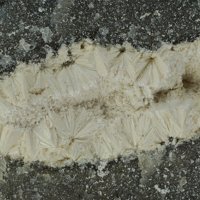 Carlfriesite