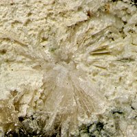 Magadiite