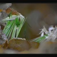 Agardite-(La)