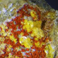 Umohoite, Parauranophane, Calcurmolite
