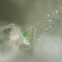 Carlfriesite, Quartz