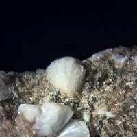 Bavenite