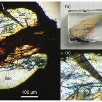Xenophyllite, Sarcopside, Goethite