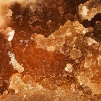 Canutite