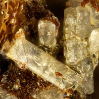 Kainosite-(Y)