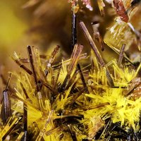 Ianthinite, Schoepite
