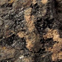 Rauvite