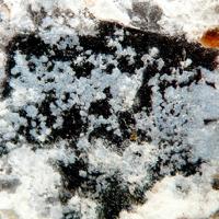 Bario-olgite