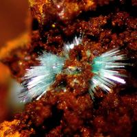 Agardite-(Nd)