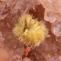 Carlhintzeite
