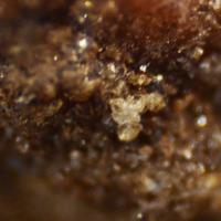 Samfowlerite, Cahnite, Grossular