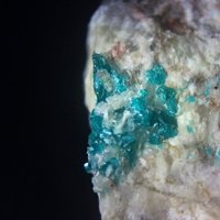 Salesite