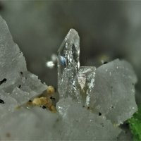 Dalyite