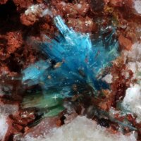 Sampleite, Ulrichite