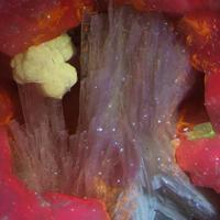 Adamsite-(Y), Franconite, Microcline