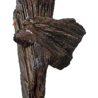 Bannisterite