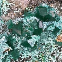 Ramsbeckite, Schulenbergite
