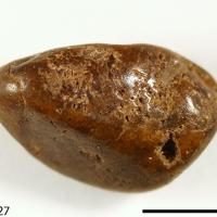 Bahianite
