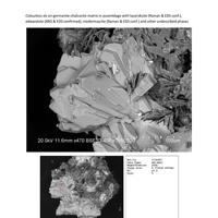 Cadsulfohite