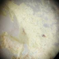 Calcioursilite