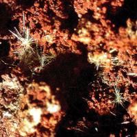 Agardite-(Y), Quartz