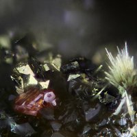 Xanthoconite, Parasymplesite, Löllingite
