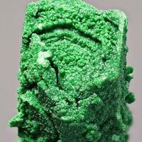 Bayldonite