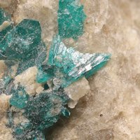Salesite