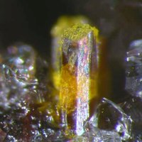 Macquartite