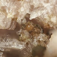 Caryopilite