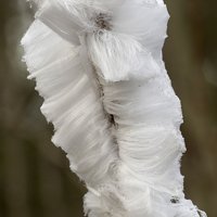 Ice