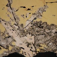 Mackinawite, Pyrrhotite, Chalcopyrite