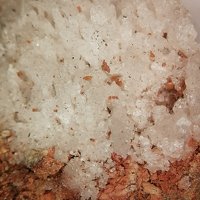 Salammoniac