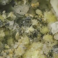 Adranosite-(Fe)