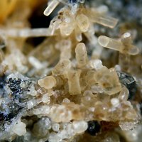 Opal, Kalsilite, Magnetite