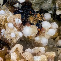 Rauenthalite, Phaunouxite