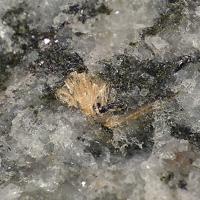 Bafertisite
